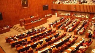 Senate Election