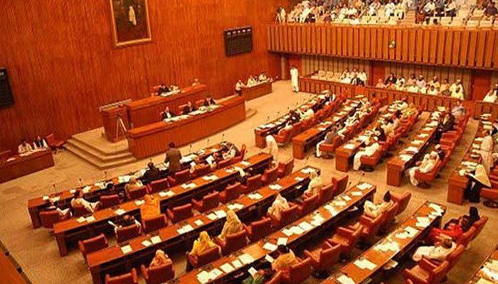Senate Election