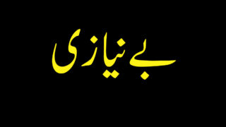 Bay Niazi