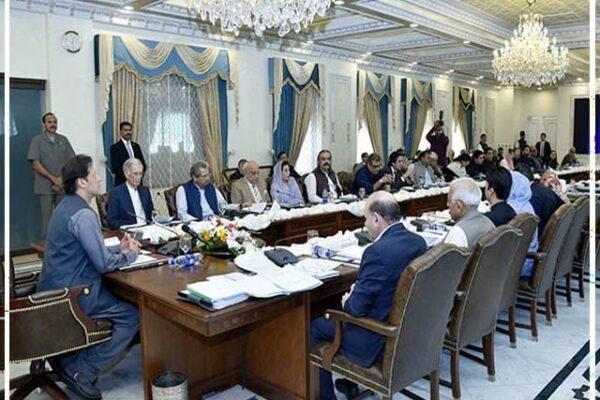 کابینہ نے ڈریپ کے سی ای او کو ہٹانے اور اسٹیٹ بینک ترمیمی بل کی منظوری دیدی