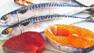Fish