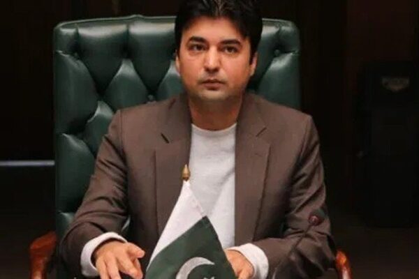 سیاست بچانے کیلیے پاکستان کیخلاف نعرے نہ لگائیں، مراد سعید