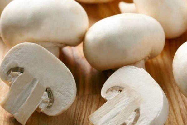 سفید مشروم کئی طرح کے کینسر کو بڑھنے سے روکتی ہے