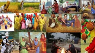 Punjab Culture Day
