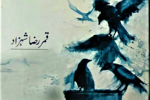 ملک سخن کا شہزادہ	قمر رضا شہزاد