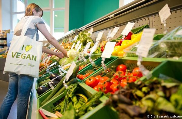 میرا بچہ میری مرضی