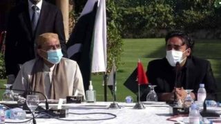 Asif Zardari and Bilawal Bhutto