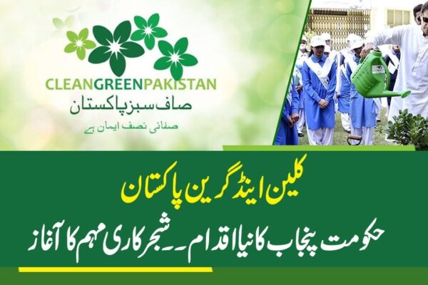 بے گھر پرندے ہوتے ہیں اشجار کٹنے سے