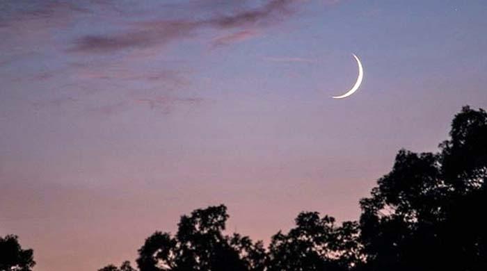 Moon