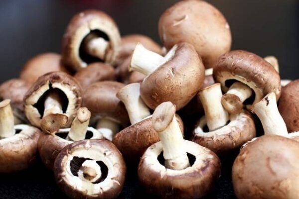 مشروم کھائیں اور کینسر بھگائیں