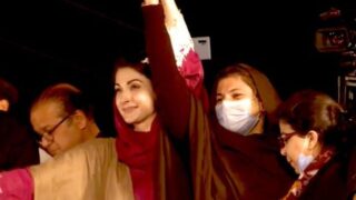 Nausheen Iftikhar