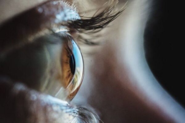 کائی میں موجود پروٹینز 20 سال سے نابینا شخص کی بینائی لوٹانے کا سبب بن گئے