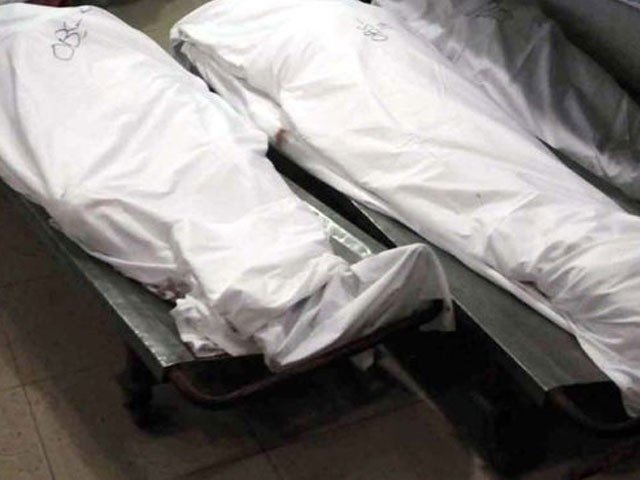 Bodies