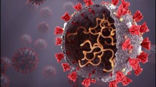 Coronavirus
