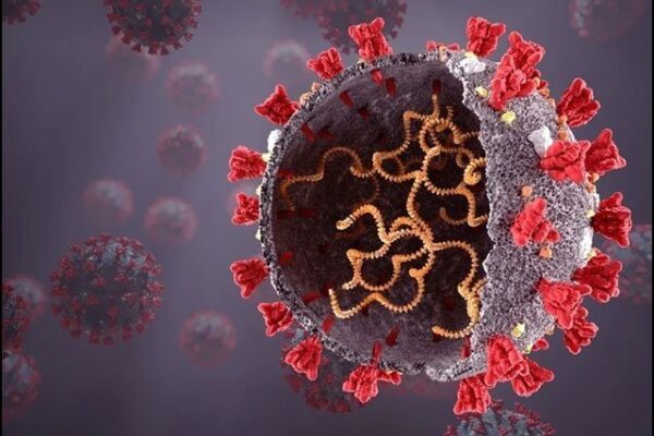 صرف ایک سیکنڈ کا بلند درجہ حرارت کورونا وائرس کو ختم کر سکتا ہے