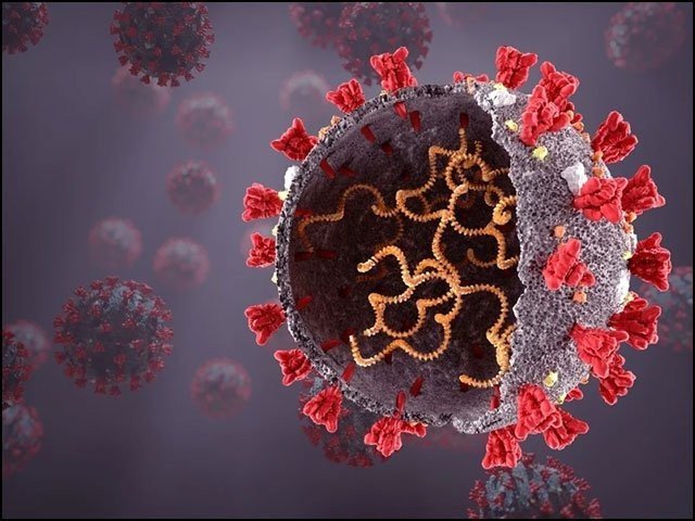 Coronavirus