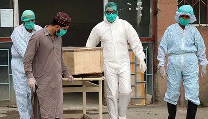 Pakistan Corona Deaths