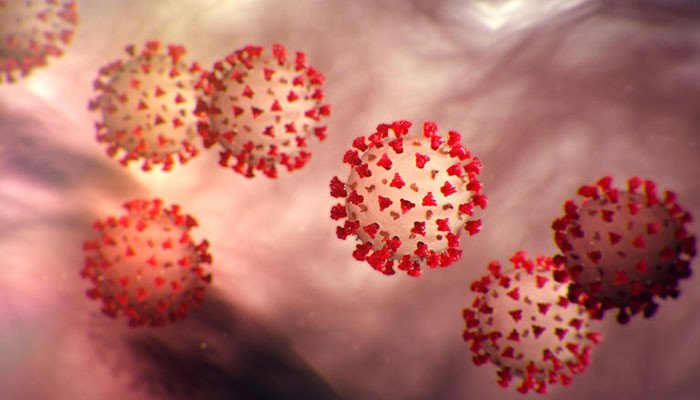 Corona virus