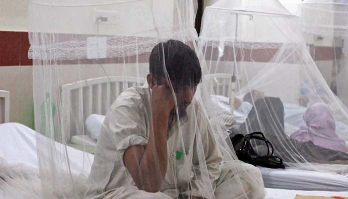 Dengue Patient
