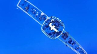 Facebook Smart Watch