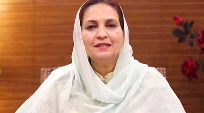 Nausheen Hamid