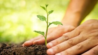 Punjab Green Development Program