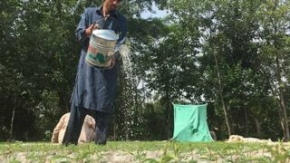 World Environment Day