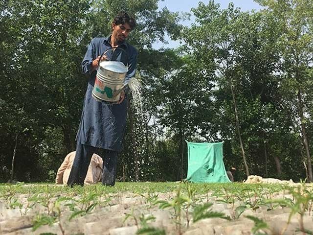 World Environment Day