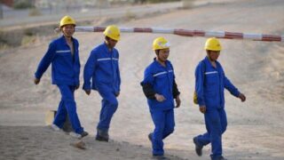 Chinese Company Worker
