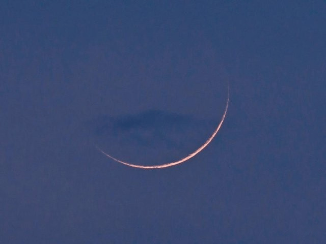 Moon
