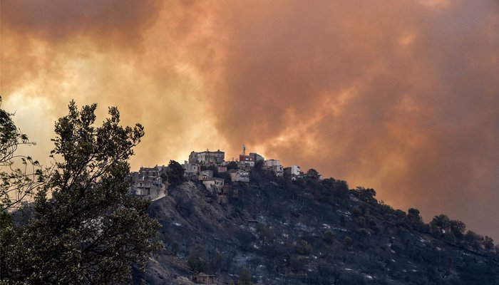 Algeria Forest Fire