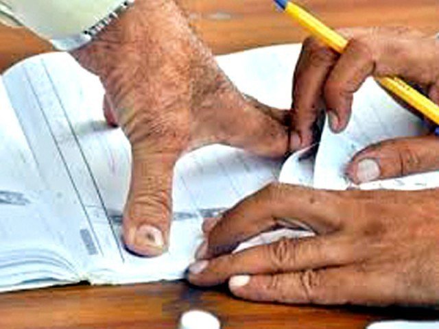 Elections