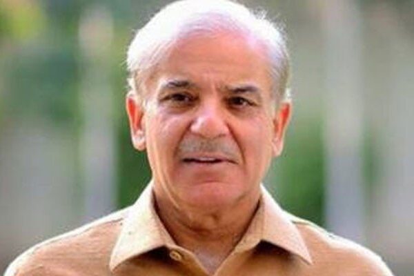 شہباز شریف نے ن لیگ میں اختلافات کو مفروضہ قرار دیدیا