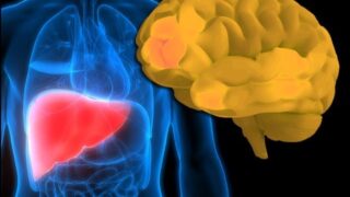 Liver - Mental Disease