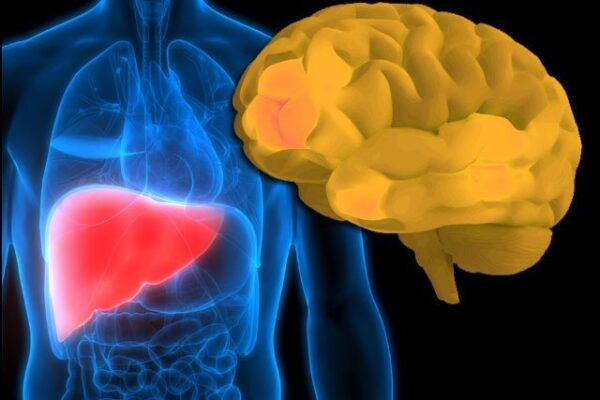 خطرناک دماغی بیماری کی ابتداء جگر سے ہوتی ہے، تحقیق