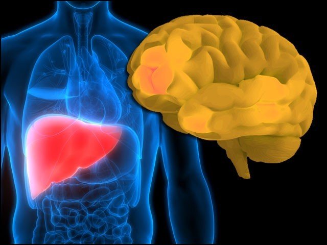Liver - Mental Disease