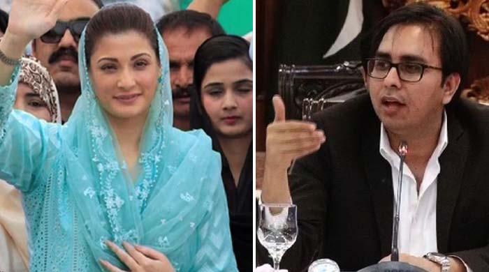 Maryam Nawaz and Shahbaz Gul