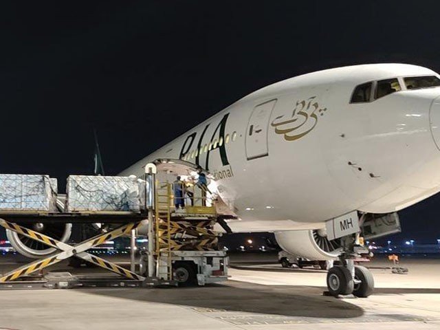 PIA Plane