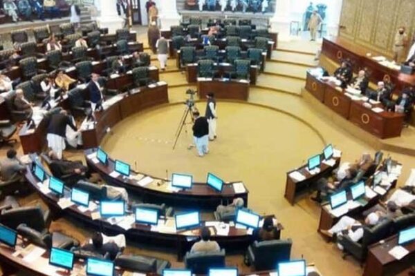 باجوڑ کے سرکاری اسپتالوں میں ڈاکٹروں کی کمی کا معاملہ صوبائی اسمبلی پہنچ گیا