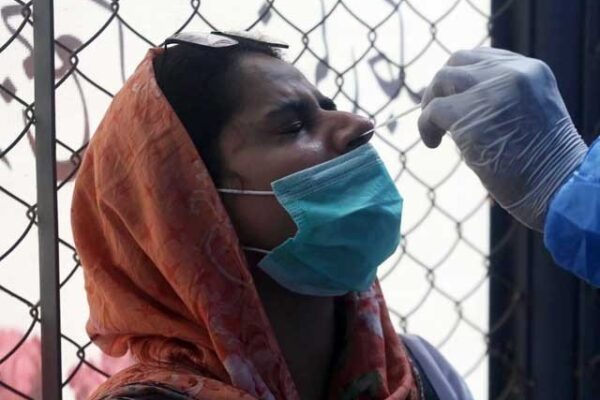 ملک میں مزید 702 افراد کورونا سے متاثر، مثبت کیسز کی شرح 1.42 فیصد ریکارڈ