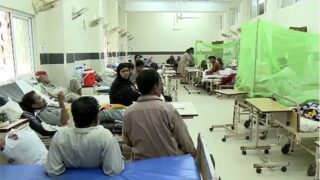 Dengue Cases