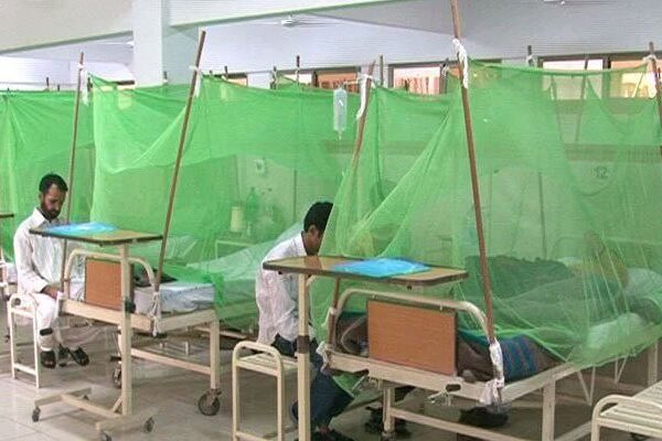 اسلام آباد میں ایک روز میں ڈینگی کے ریکارڈ کیسز رپورٹ