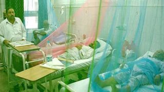 Dengue Patient