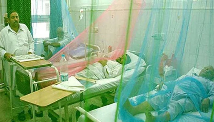 Dengue Patient