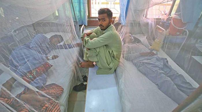 Dengue Patient