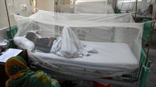 Dengue Patient