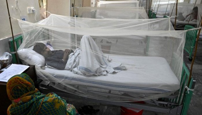 Dengue Patient