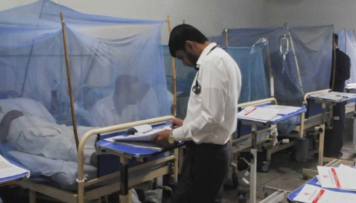Dengue Patients