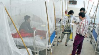 Dengue Patients