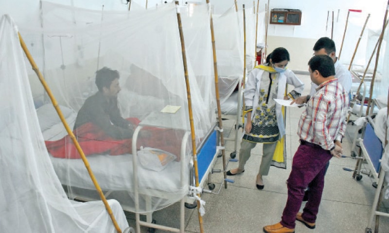 Dengue Patients